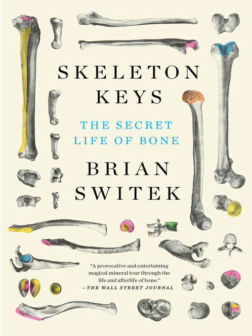 Cover of Skeleton Keys